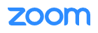 Zoom logo